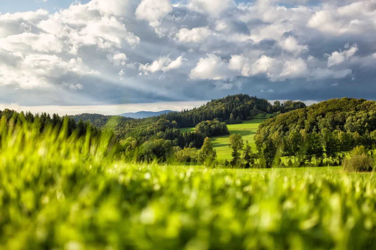 nachhaltigkeit bei nauff nachhaltigkeit bei nauff